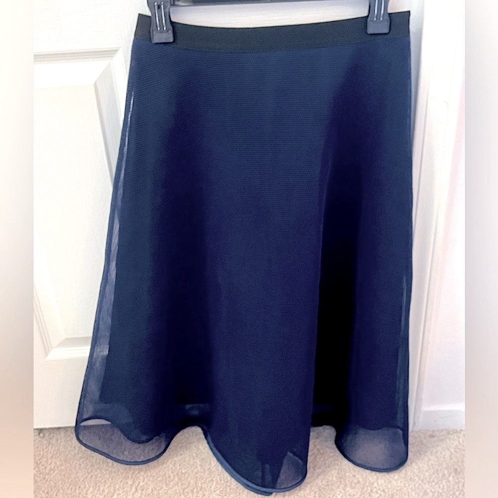 Sandro Mesh Blue Midi Skirt with Lining
